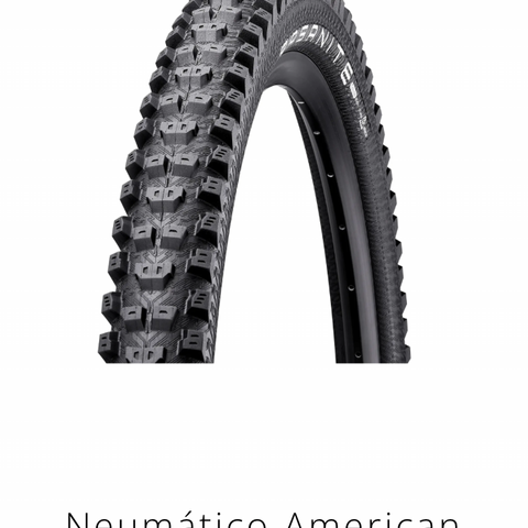Neumático American Classic Basanite Enduro / DH
