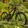 Bicicleta Sight C3 Rojo/Verde Norco TALLA L